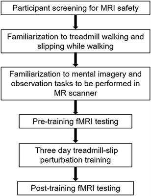 Examining Neural Plasticity for Slip-Perturbation Training: An fMRI Study